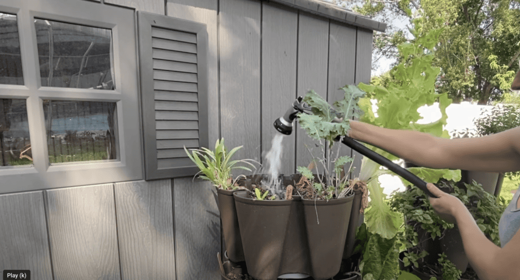 Greenstalk watering